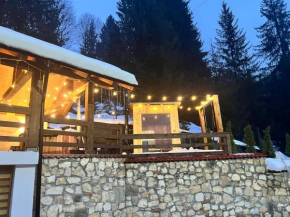 Cabana Rose House